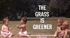 The Grass Is Greener 