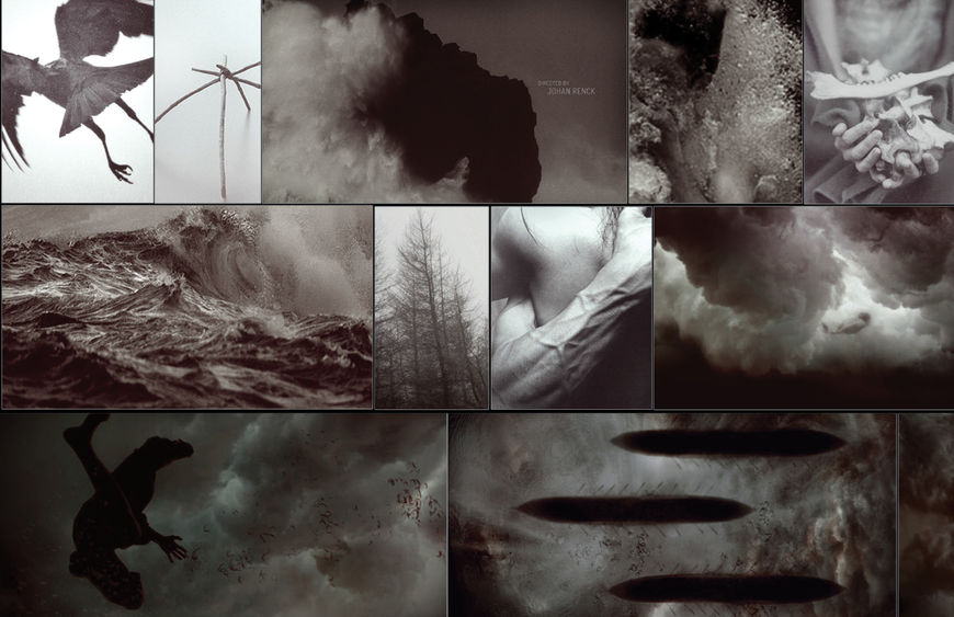 IMAGE: Rough concept mood board 2 – birds bones and brown