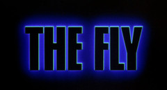 The Fly