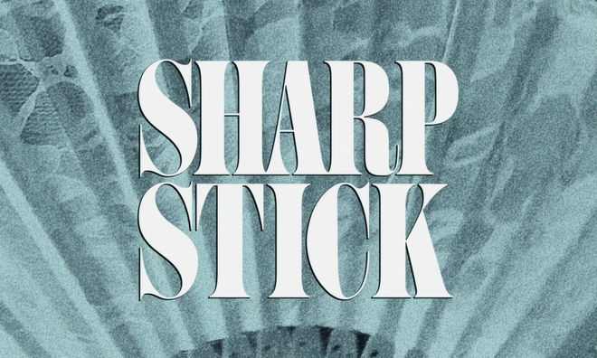 IMAGE: Sharp Stick (2022) end title card