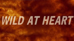 Wild at Heart