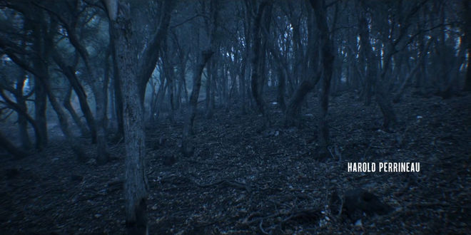 IMAGE: "Harold Perrineau" credit