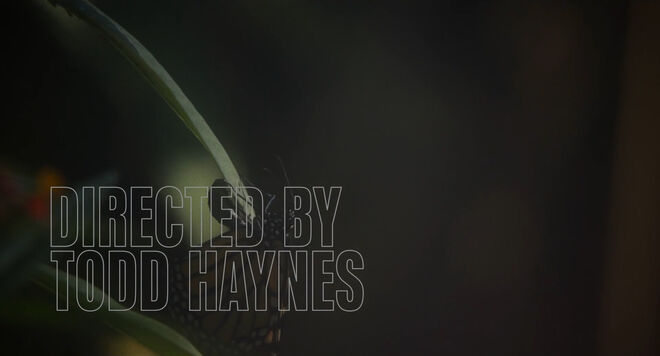 Image: Still - Credit for "Directed by Todd Haynes"