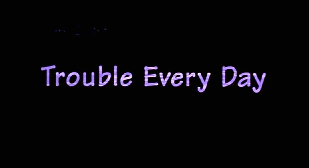 دانلود زیرنویس فیلم Trouble Every Day 2001 - بلو سابتایتل