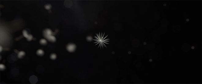 The dandelion to Voyager transition from the Cosmos main title sequence